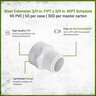 Sch 40 PVC Riser Extension 3/4 in. FIPT x MIPT