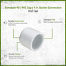 Sch 40 PVC Cap 4 in. Socket