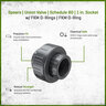 Spears Union Valve Schedule 80 PVC 1 in. Socket w/ FKM O-Rings