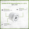 Sch 40 PVC Reducing Bushing 1 in. x 1/2 in. MIPT x FIPT