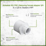 Sch 40 PVC Reducing Female Adapter 3/4 in. x 1/2 in. Socket x FIPT