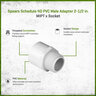 Sch 40 PVC Male Adapter 2-1/2 in. MIPT x Socket