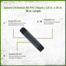 Sch 80 PVC Nipple 1/2 in. x 36 in. MIPT Threaded Both Ends