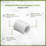 Sch 40 PVC Female Adapter 1-1/4 in. Socket x FIPT