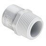 Sch 40 PVC Reducing Male Adapter 3/4 in. x 1/2 in. MIPT x Socket