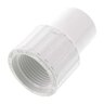 Spears Adapter White PVC 3/4 in. Spigot x Fpt