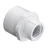Sch 40 PVC Reducing Female Adapter 1 in. x 1/2 in. Socket x FIPT