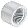 Sch 40 PVC Cap 1 in. FIPT