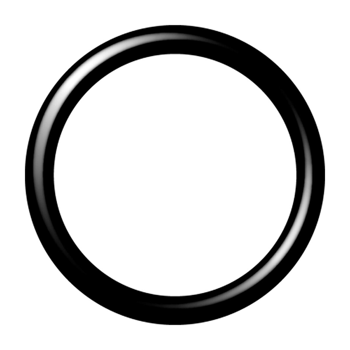 Manifold Cap And Swivel Replacement O-Ring | SiteOne US