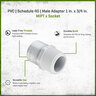 Sch 40 PVC Reducing Male Adapter 1 in. x 3/4 in. MIPT x Socket