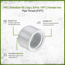 Sch 40 PVC Cap 3/4 in. FIPT