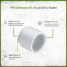 Sch 40 PVC Cap 1/2 in. Socket