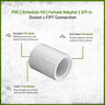 Sch 40 PVC Female Adapter 3/4 in. Socket x FIPT