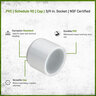Sch 40 PVC Cap 3/4 in. Socket
