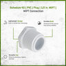 Sch 40 PVC Plug 1/2 in. MIPT
