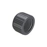 Sch 80 PVC Cap 2 in. FIPT