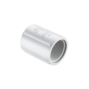 Sch 40 PVC Coupling 1 in. FIPT