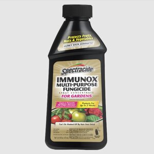 Spectracide Immunox Fungicide 1 pt.