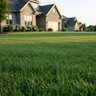 Plant Nutrient 30-0-4 50% Regain MOP Turf Granular Fertilizer 50 lb. Bag