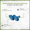 Sta-Rite DS3 Self-Priming Centrifugal Pump Cast Iron 115V/230V 1-1/2 HP 1 Phase
