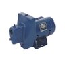 Sta-Rite ProJet SN Shallow Well Jet Pump 1 HP 115/230V 1 Phase Cast Iron