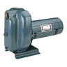 Sta-Rite DS2 Centrifugal Pump Self-Priming 1-1/2 HP 115/230v 1 Phase Cast Iron