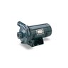 Sta-Rite J Centrifugal Pump 2 - 1/2 HP 208 - 230/460V 3 Phase Cast Iron