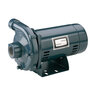 Sta-Rite JHE CP1XPHS Centrifugal Pump 1 HP 115/230V 1 Phase Cast Iron