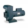Pentair Centrifugal Pump J Series 208/230/460VT 3 Phase 1.5 HP