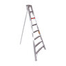 Stokes Orchard Ladder 15 ft.