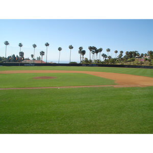 Stover Seed Sportsfield Seed w/ Hulled 50 lb.