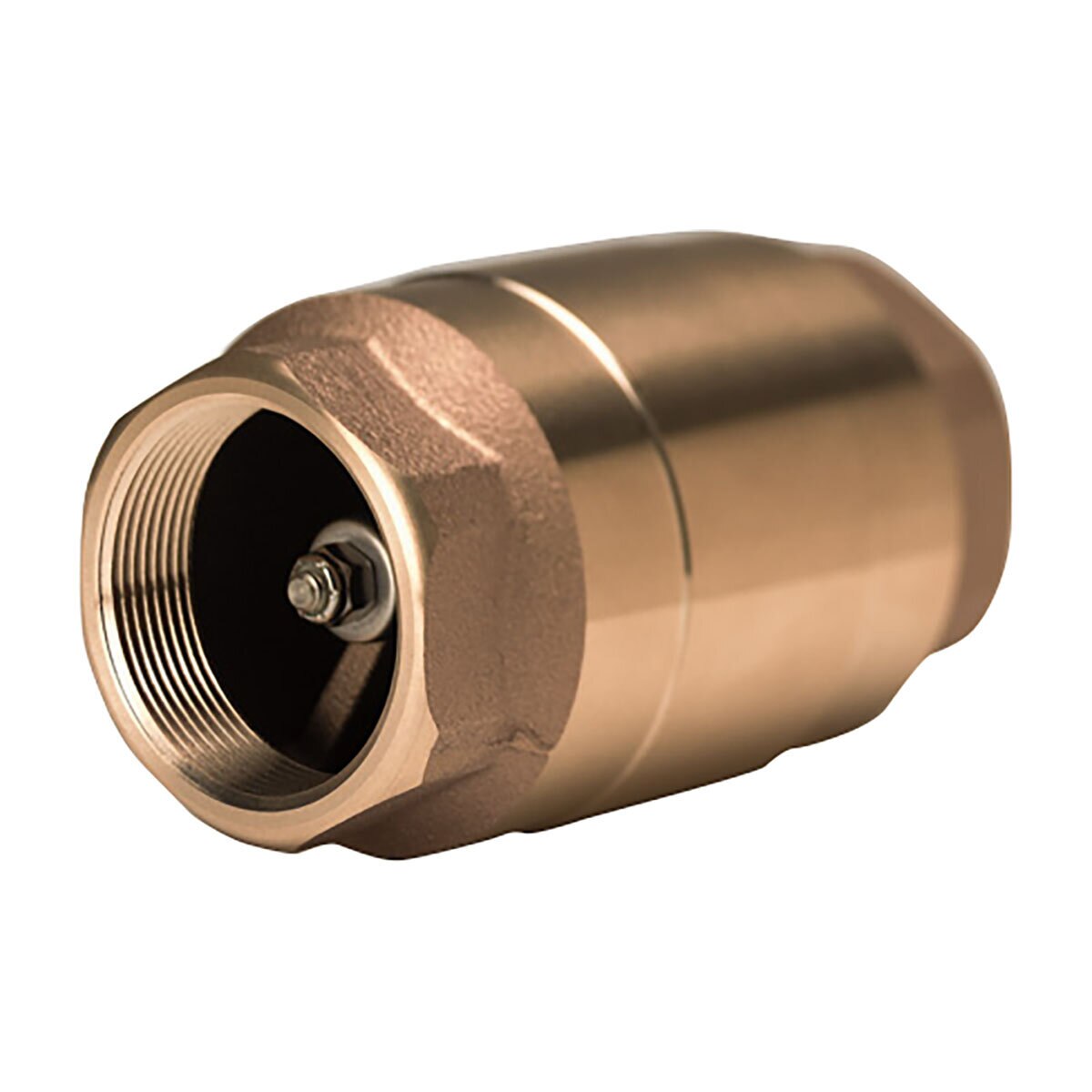 Strataflo Check Valve Brass 3 in. Male Thread | SiteOne US
