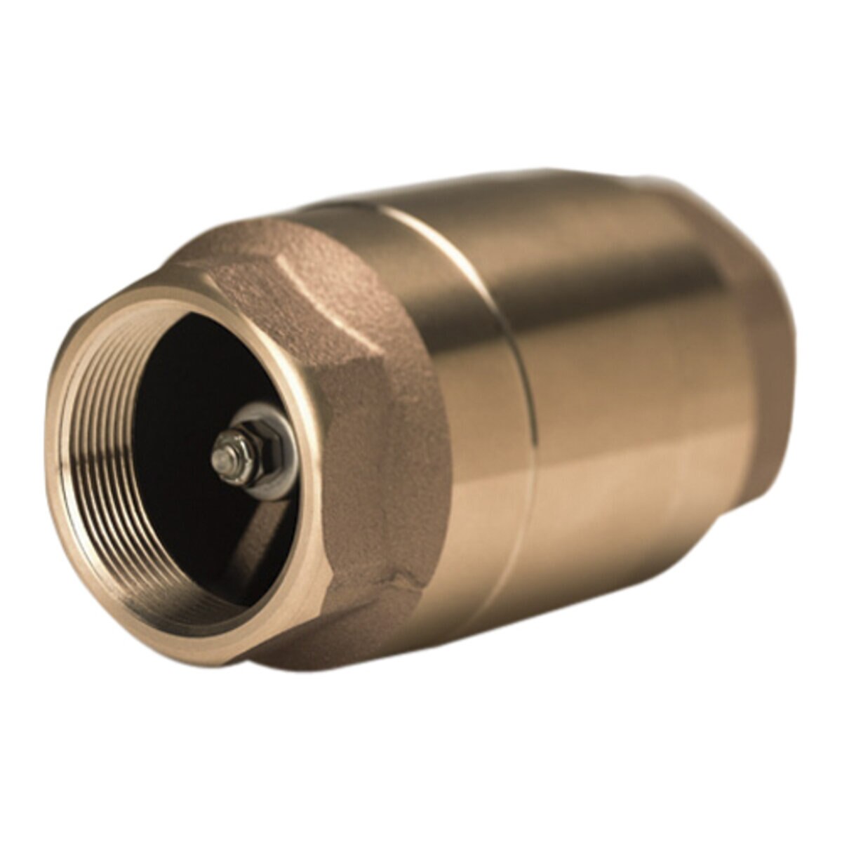 Strataflo Check Valve Brass 2 in. FIPT | SiteOne US
