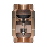 Strataflo 2-1/2 in. FNPT Brass Check Valve with Buna-S Rubber Poppet