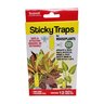 Sticky Traps for Houseplants Traps Fungus Gnat, Aphids, Whiteflies and More
