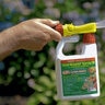 Summit Horticultural Oil 32 oz. RTU Hose End