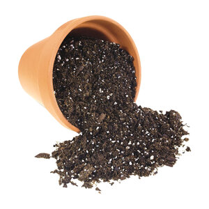 Potting Soil 30 qt. Bag