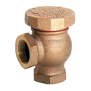 Buckner 1 Vacuum Breaker with Union