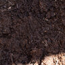 Superior Planting Blend (scoop approximately 1 cubic yard)