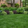 Sustane Soil ReGen 1-1-1M Soil Amendment 50 lb.