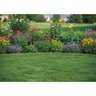 Sustane 8-2-4 2% Ca Medium Organic-Base Granular Fertilizer 50 lb. Bag