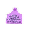 Purple Blank Id Tags T Christy