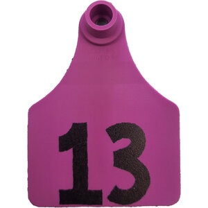 Standard 2-Sided ID Tag Rectangle 2.25 in. x 2.7 in. (Contact Buyer with Marking Instructions)