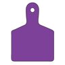 Blank Purple Id Tag - T Christy