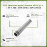 T.B.S. Machined Nipple Sch 80 PVC 1 in. x 24 in. TBE