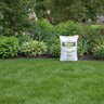 THRIVE Fertilizer 20-0-0 100% AS Spreadable 50 lb. Bag