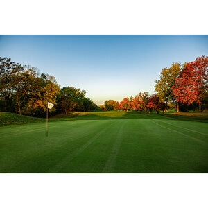 Prestige Premium Creeping Bentgrass Seed Blend 25 lb.