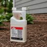 Termidor NY Insecticide 20 oz.