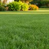 Andersons Fertilizer 11-8-9E CONTEC DG 43% MUTech AS SOP 0.2Fe 2.8Mg 0.2Mn 1.25Humic ELITE 40 lb. (QGCY)