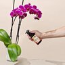 The Grow Co. Organic Orchid Food Mist Ready to Spray 0.02-0.02-0.02 8 fl.oz. 12/cs.